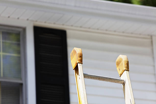 Shed Removal in South Brooksville, FL